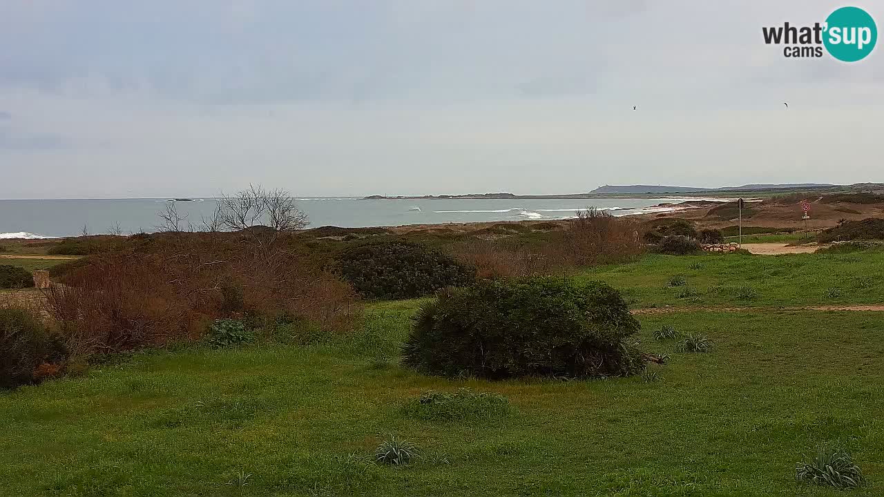 Plaža Mari Ermi | Is Arutas – Oristano