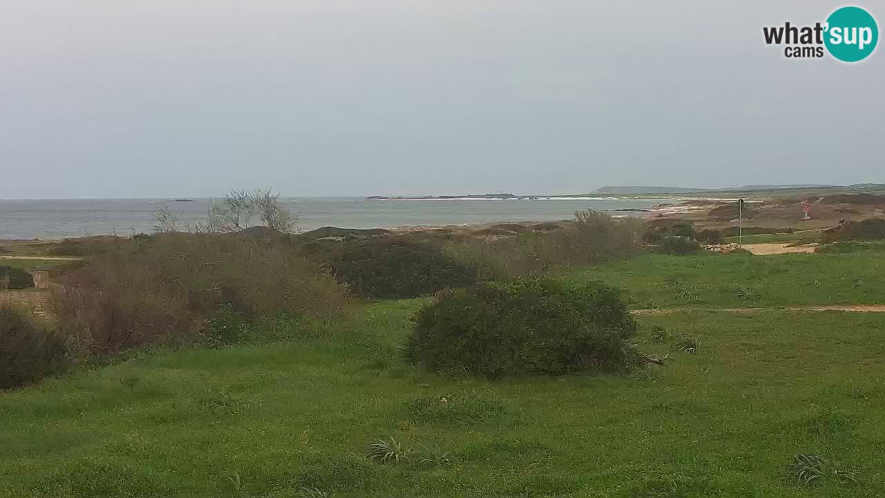 Plaža Mari Ermi | Is Arutas – Oristano