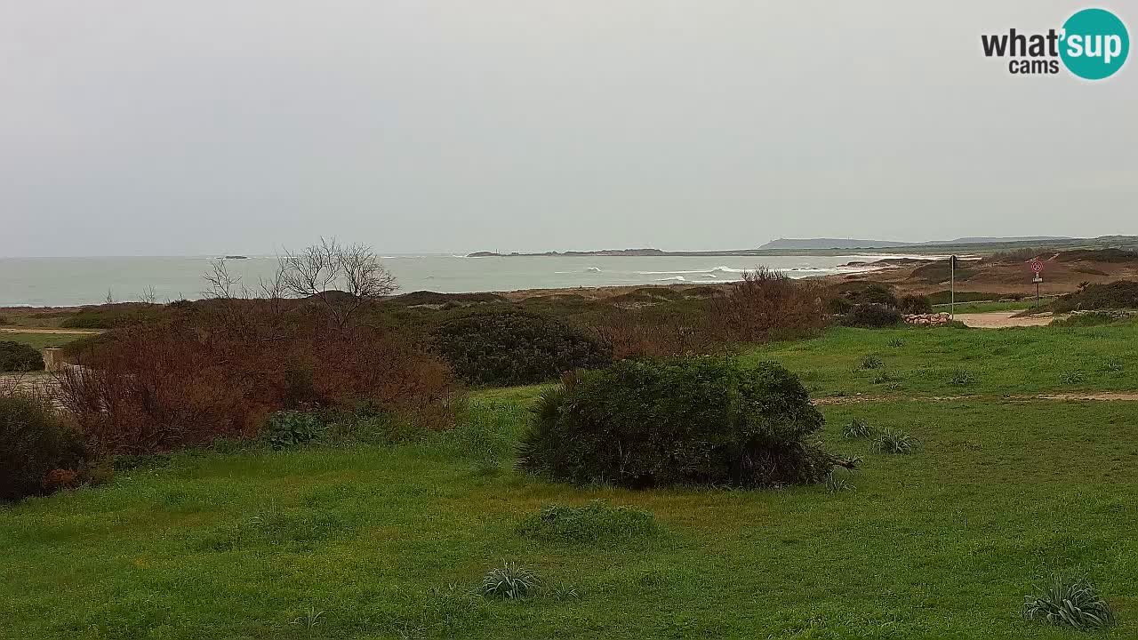 Plaža Mari Ermi | Is Arutas – Oristano