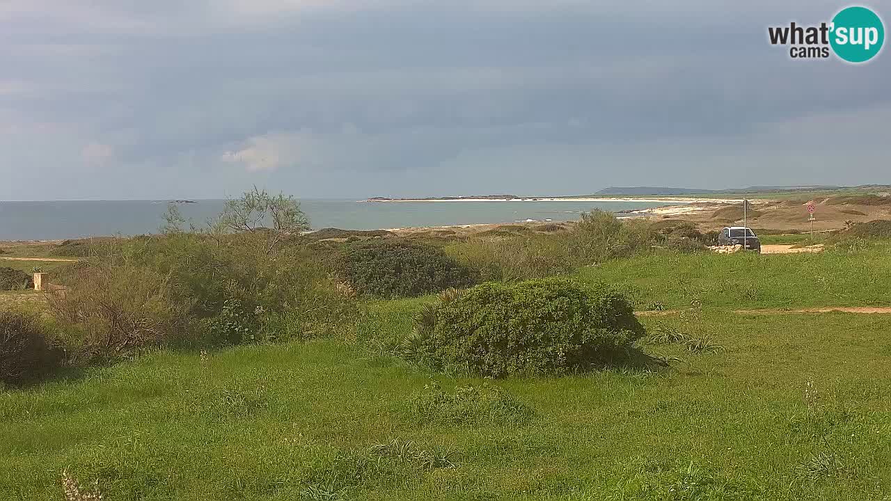 Playa Mari Ermi | Is Arutas – Oristano