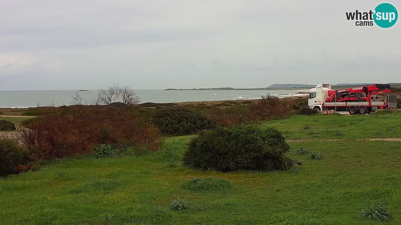 Mari Ermi Strand | Is Arutas – Oristano