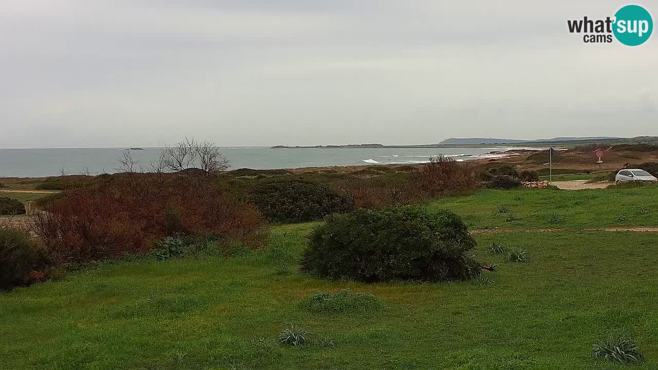 Plaža Mari Ermi | Is Arutas – Oristano