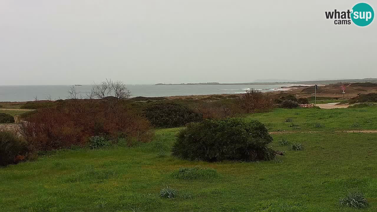 Spiaggia Mari Ermi | Is Arutas – Oristano