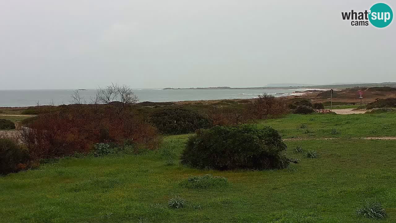 Plaža Mari Ermi | Is Arutas – Oristano