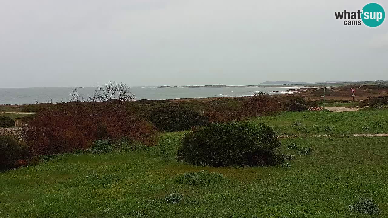 Plage Mari Ermi | Is Arutas – Oristano