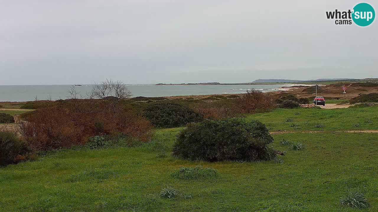 Playa Mari Ermi | Is Arutas – Oristano
