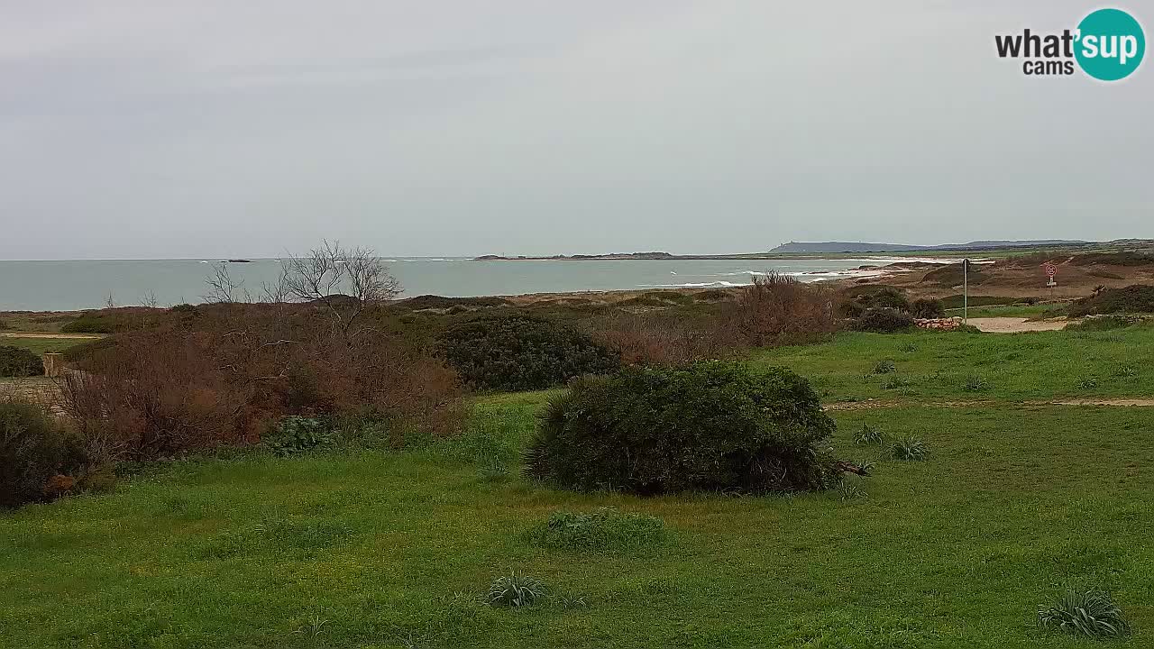 Plaža Mari Ermi | Is Arutas – Oristano