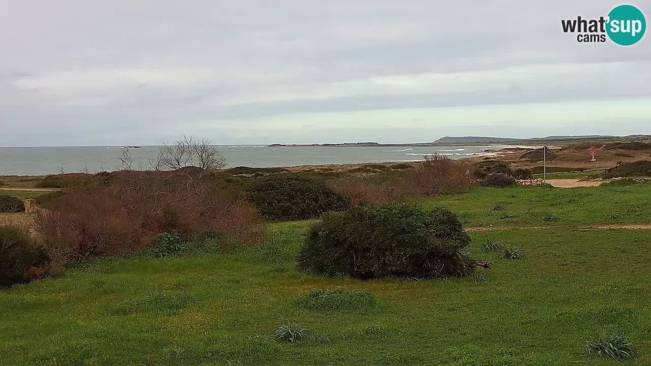 Mari Ermi Strand | Is Arutas – Oristano