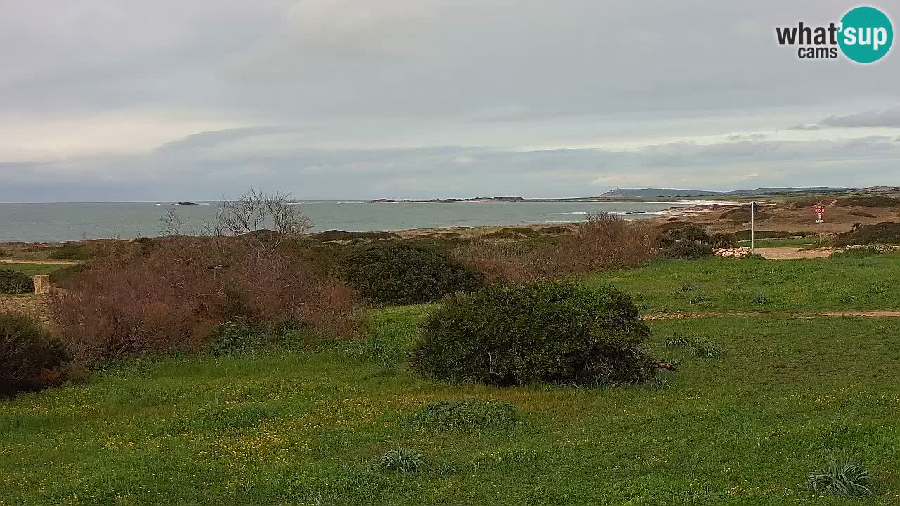 Playa Mari Ermi | Is Arutas – Oristano