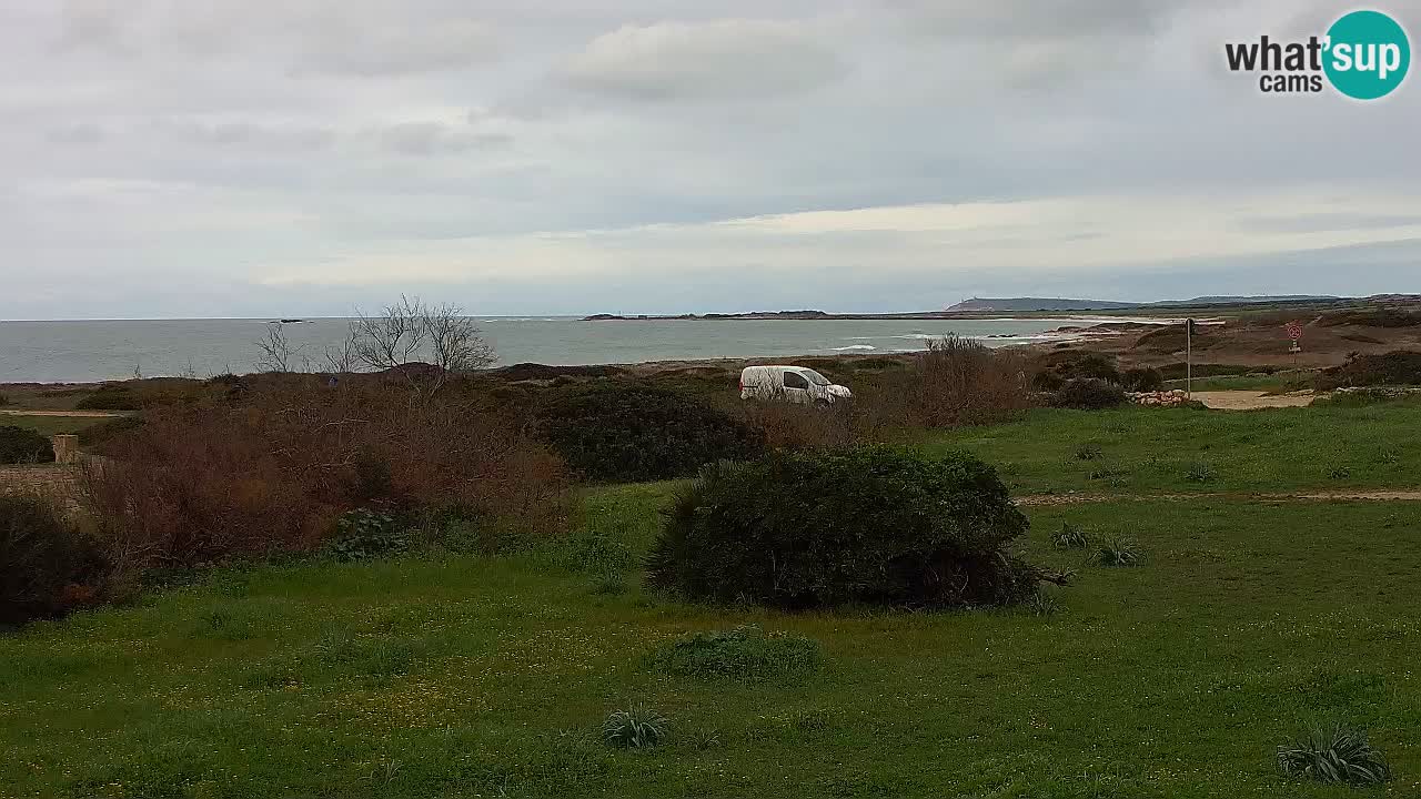 Mari Ermi Strand | Is Arutas – Oristano