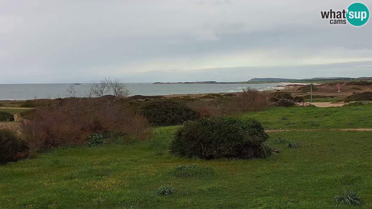 Mari Ermi Strand | Is Arutas – Oristano