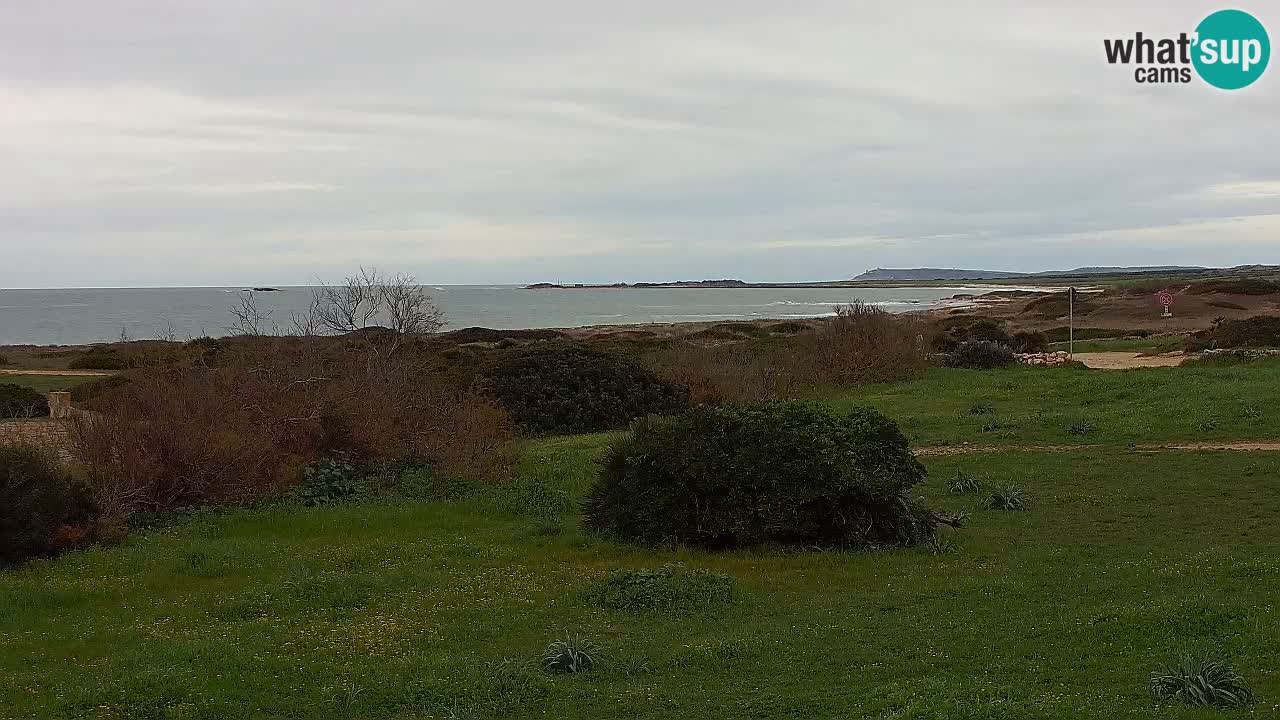 Plage Mari Ermi | Is Arutas – Oristano