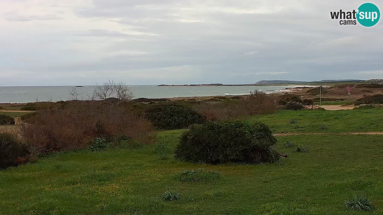 Plaža Mari Ermi | Is Arutas – Oristano