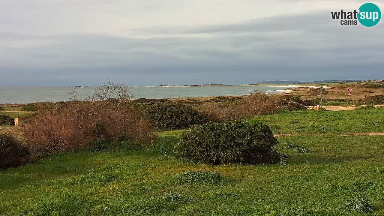 Plage Mari Ermi | Is Arutas – Oristano