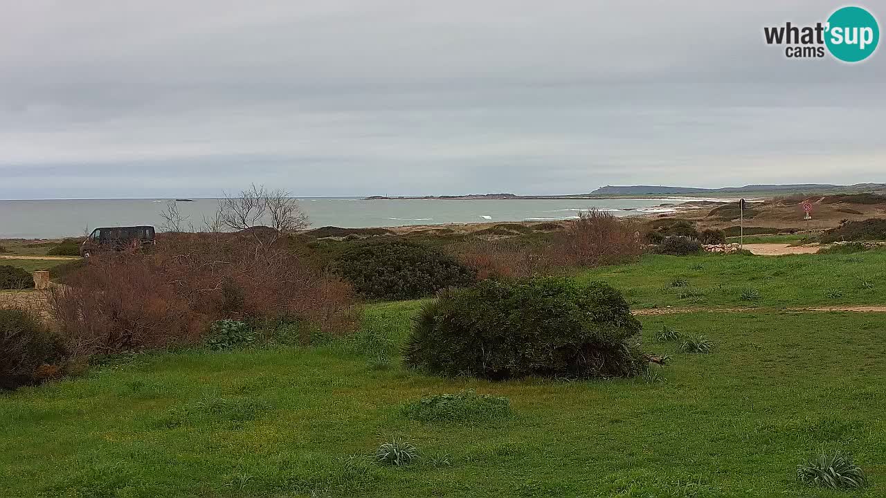 Plaža Mari Ermi | Is Arutas – Oristano