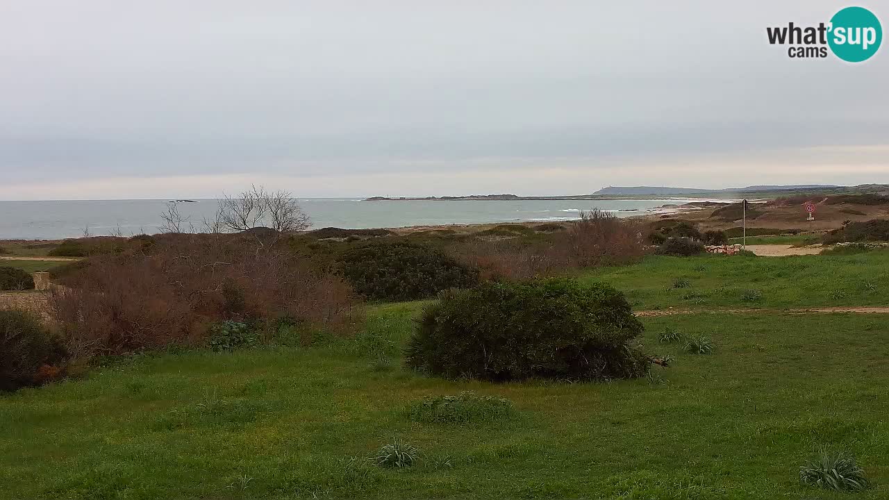 Mari Ermi Strand | Is Arutas – Oristano