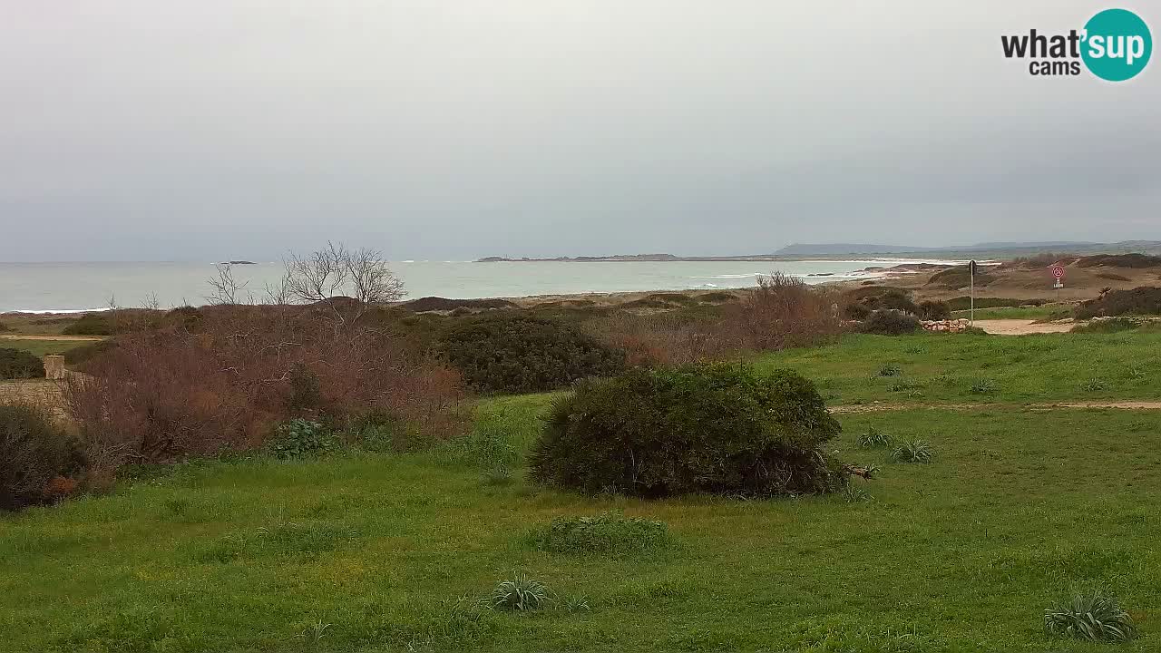 Playa Mari Ermi | Is Arutas – Oristano