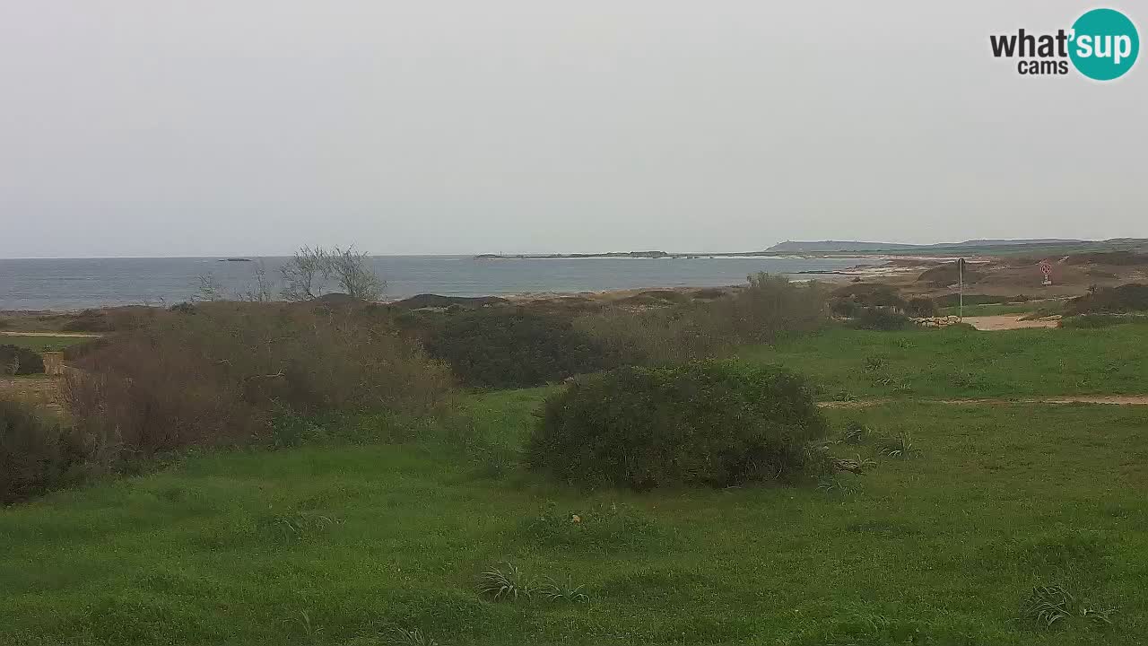 Plaža Mari Ermi | Is Arutas – Oristano