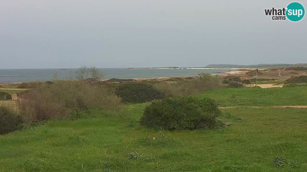 Mari Ermi Strand | Is Arutas – Oristano