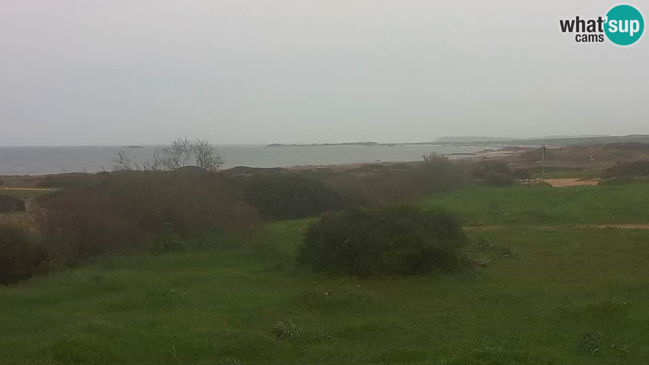 Mari Ermi Strand | Is Arutas – Oristano