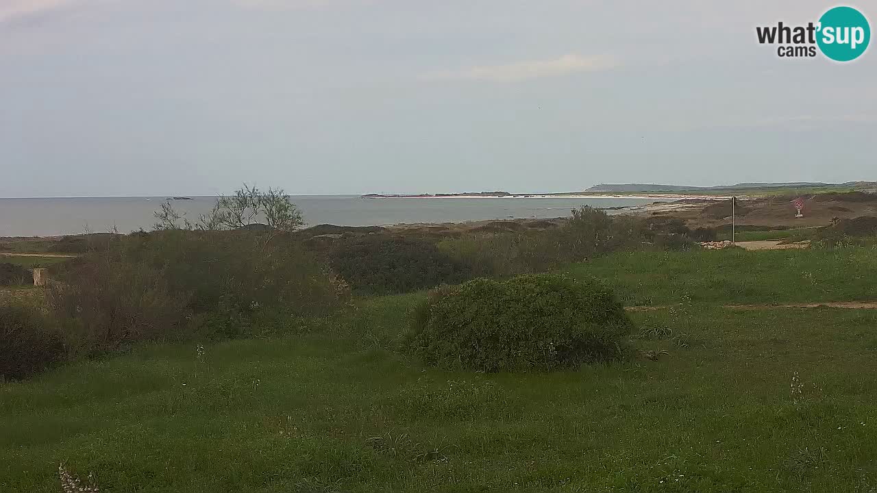 Mari Ermi Strand | Is Arutas – Oristano