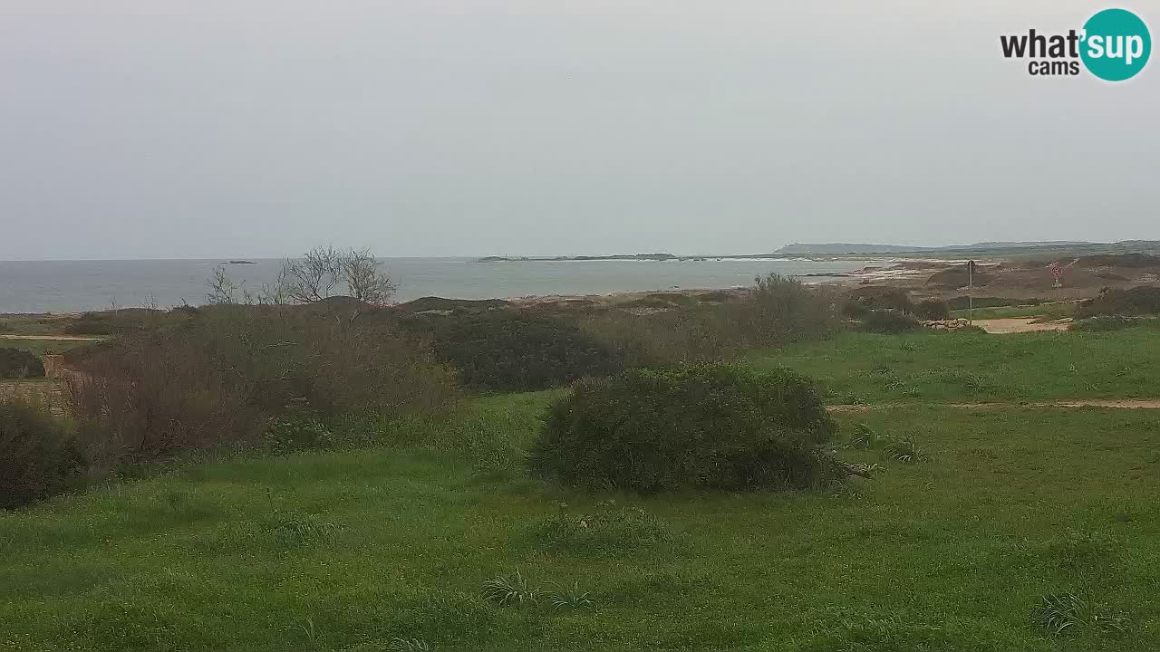 Playa Mari Ermi | Is Arutas – Oristano