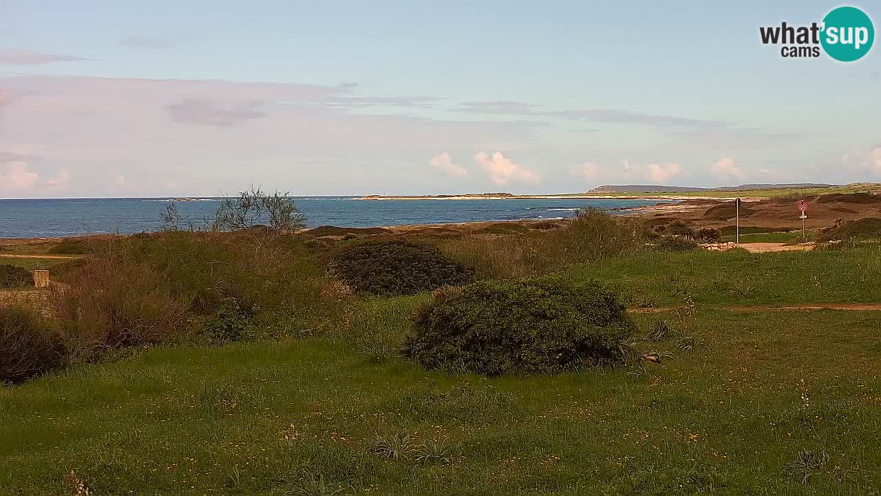Plaža Mari Ermi | Is Arutas – Oristano