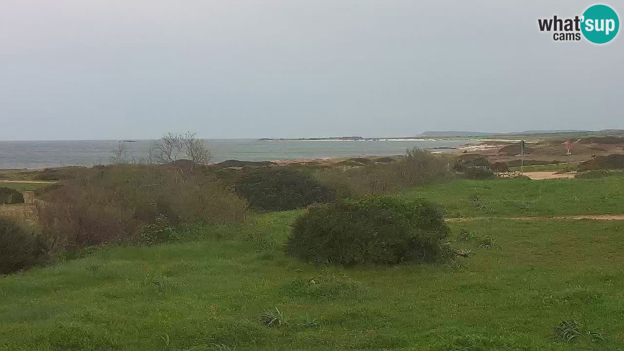 Plaža Mari Ermi | Is Arutas – Oristano