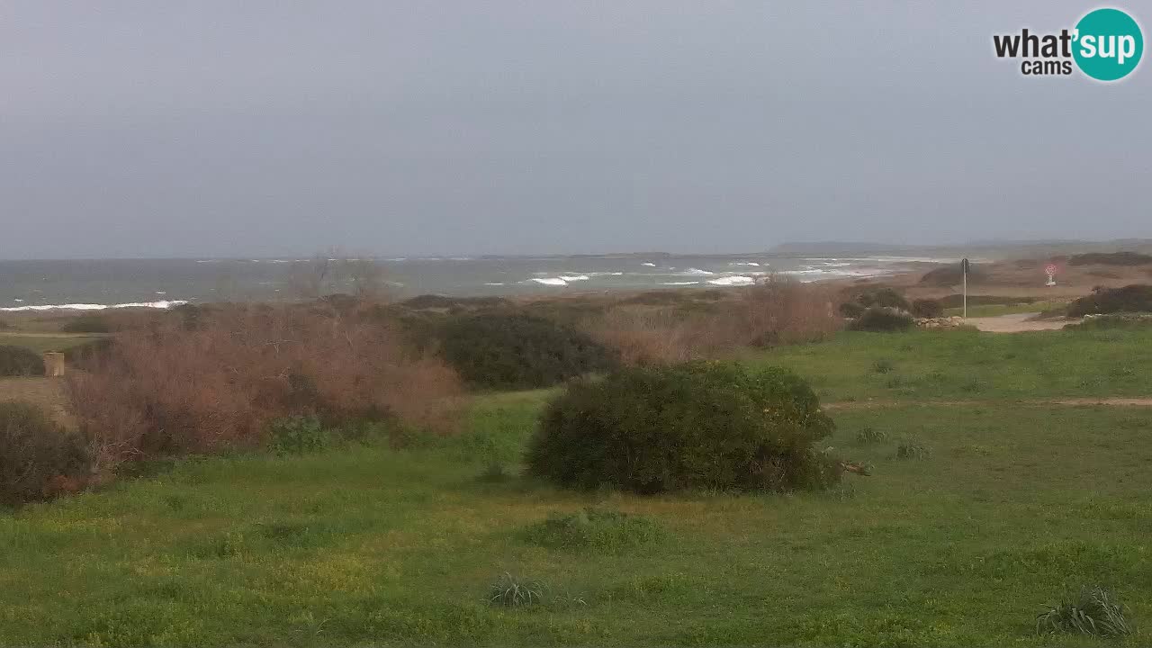 Plaža Mari Ermi | Is Arutas – Oristano