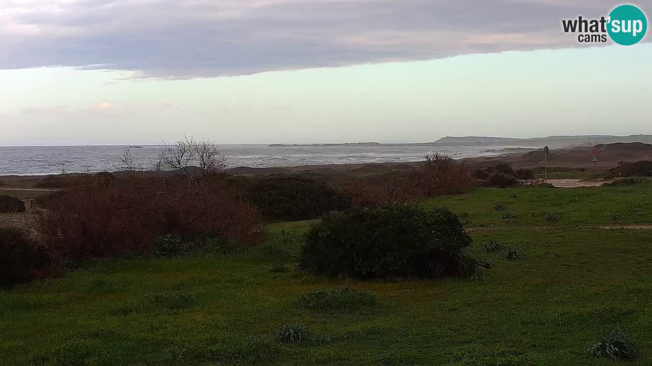 Plage Mari Ermi | Is Arutas – Oristano