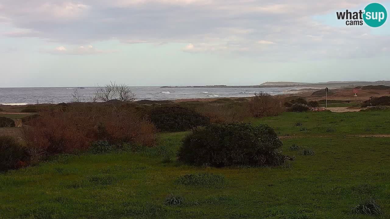 Playa Mari Ermi | Is Arutas – Oristano