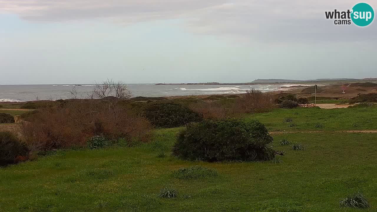 Spiaggia Mari Ermi | Is Arutas – Oristano