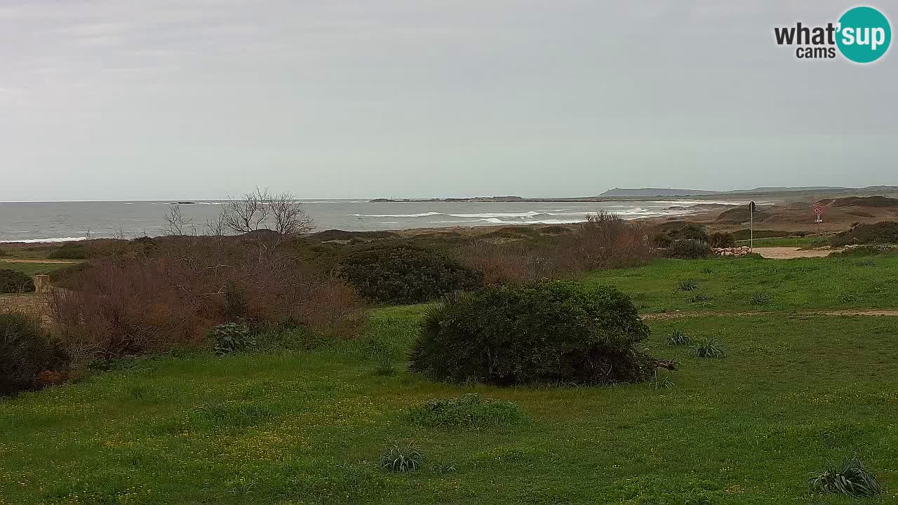 Spiaggia Mari Ermi | Is Arutas – Oristano