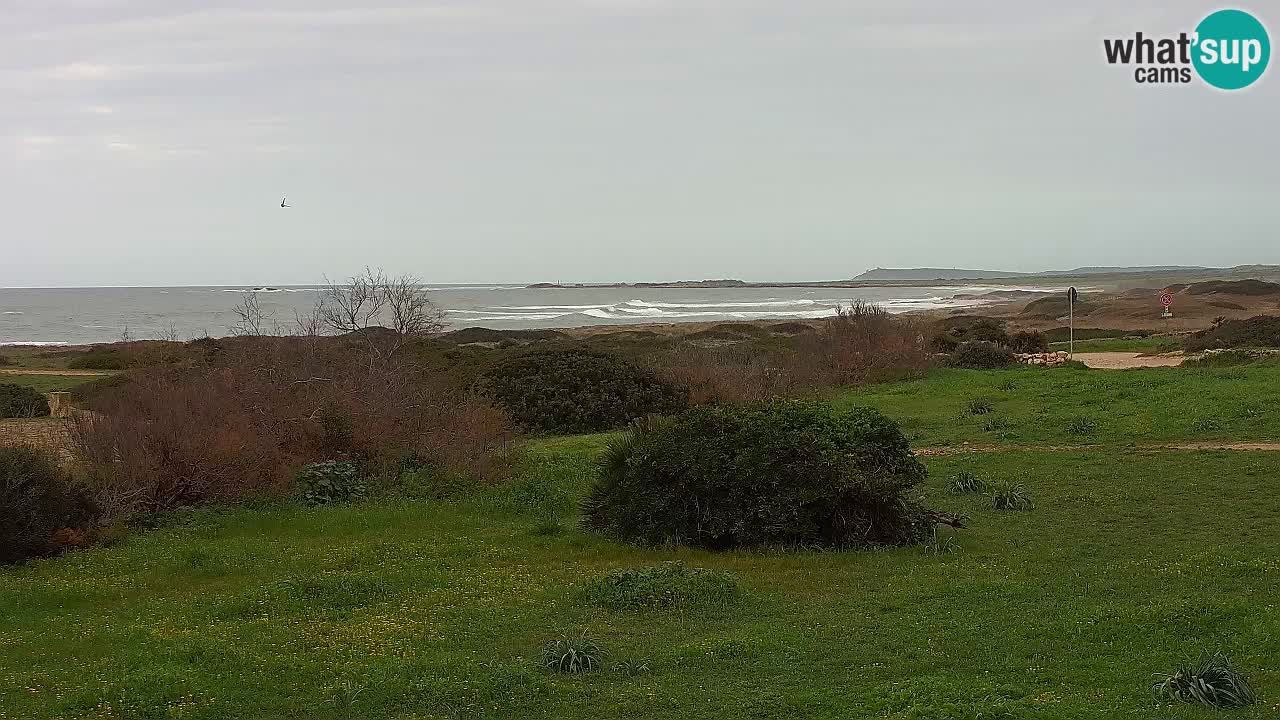 Plaža Mari Ermi | Is Arutas – Oristano