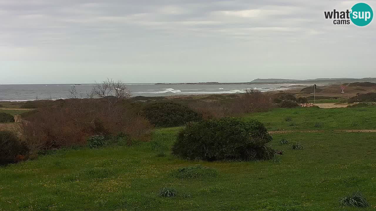 Plage Mari Ermi | Is Arutas – Oristano