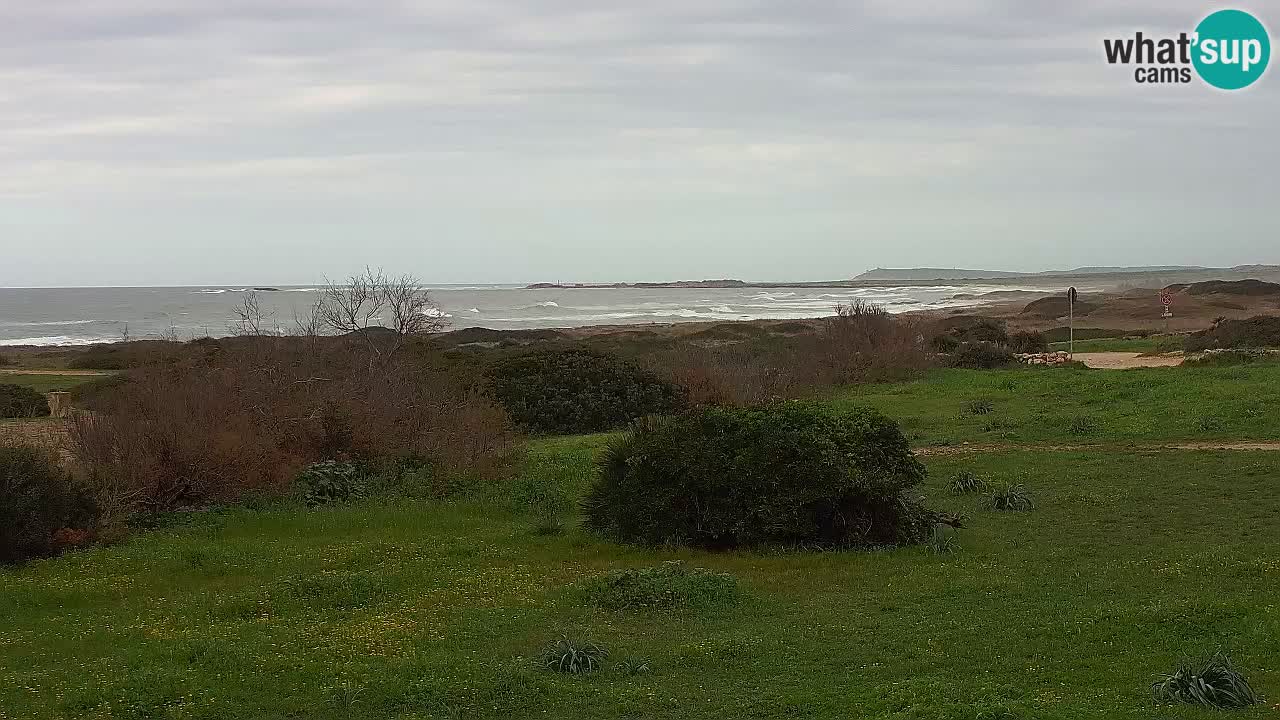 Plaža Mari Ermi | Is Arutas – Oristano