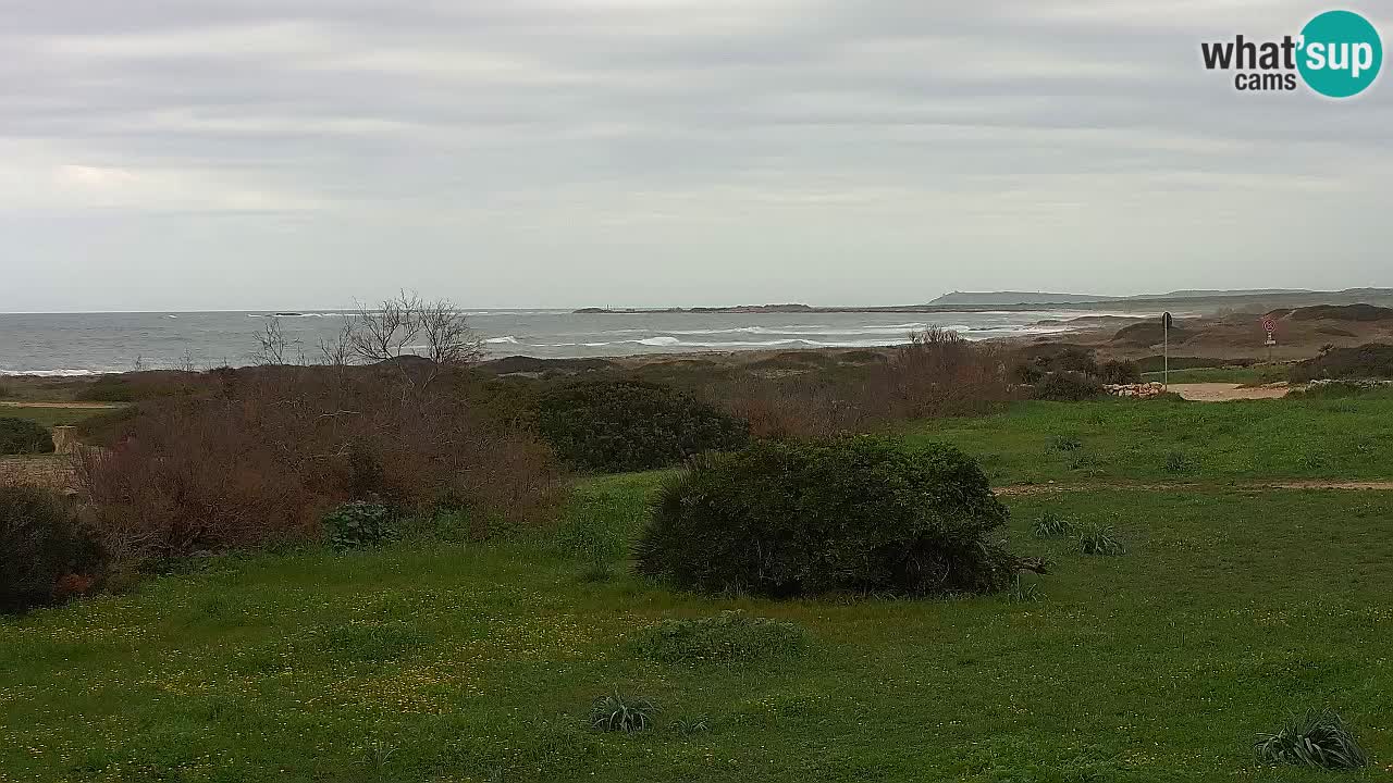 Plaža Mari Ermi | Is Arutas – Oristano