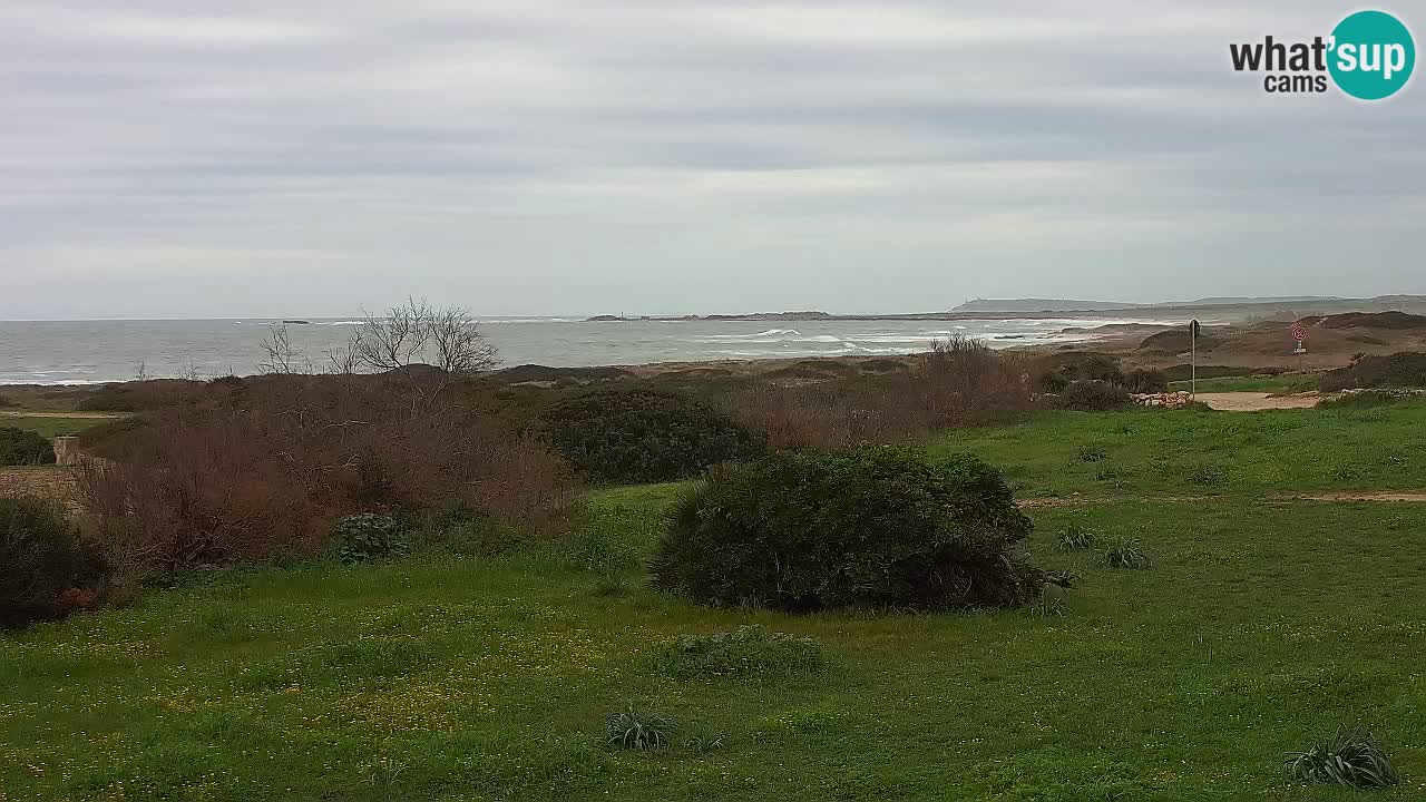 Playa Mari Ermi | Is Arutas – Oristano