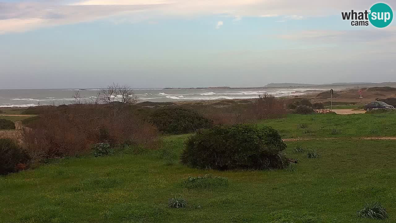 Mari Ermi Strand | Is Arutas – Oristano