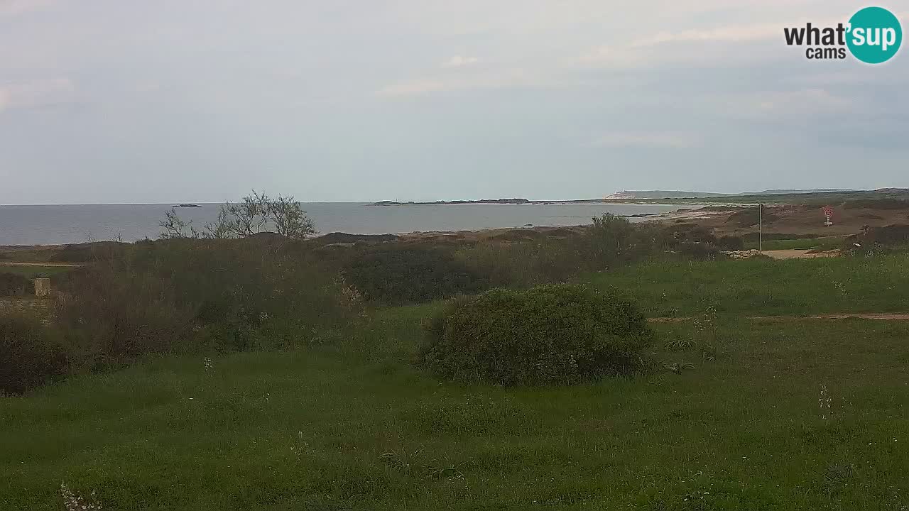 Plage Mari Ermi | Is Arutas – Oristano