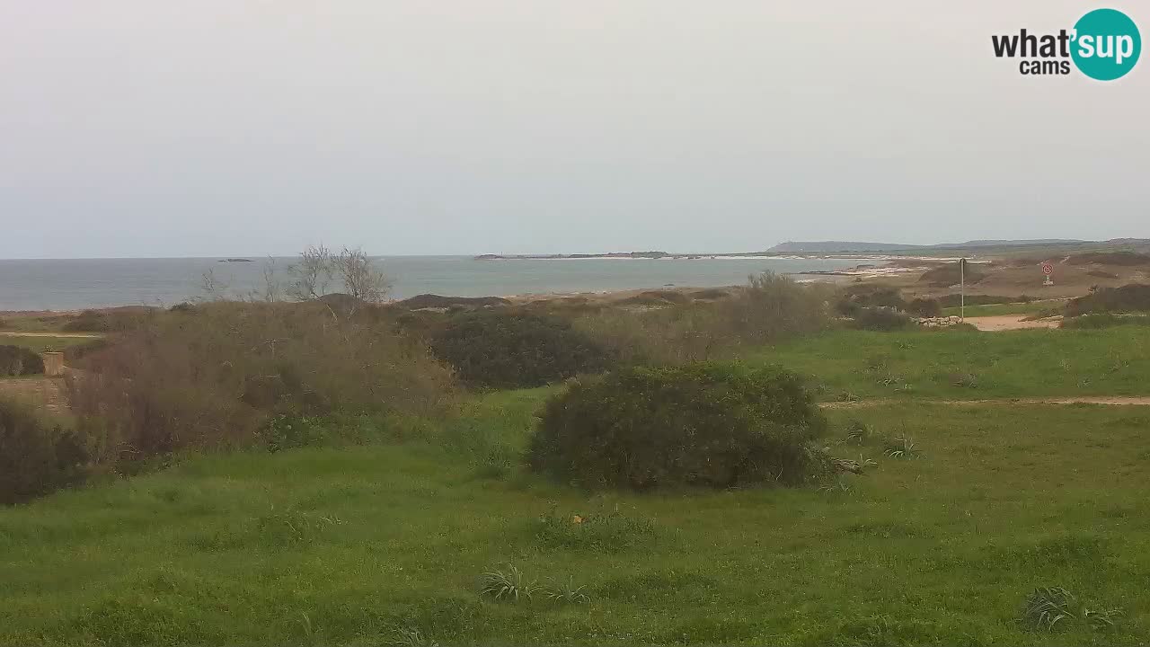 Plaža Mari Ermi | Is Arutas – Oristano