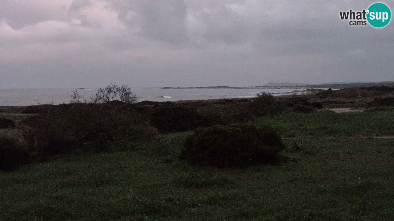 Plaža Mari Ermi | Is Arutas – Oristano