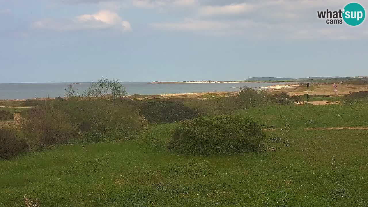 Spiaggia Mari Ermi | Is Arutas – Oristano