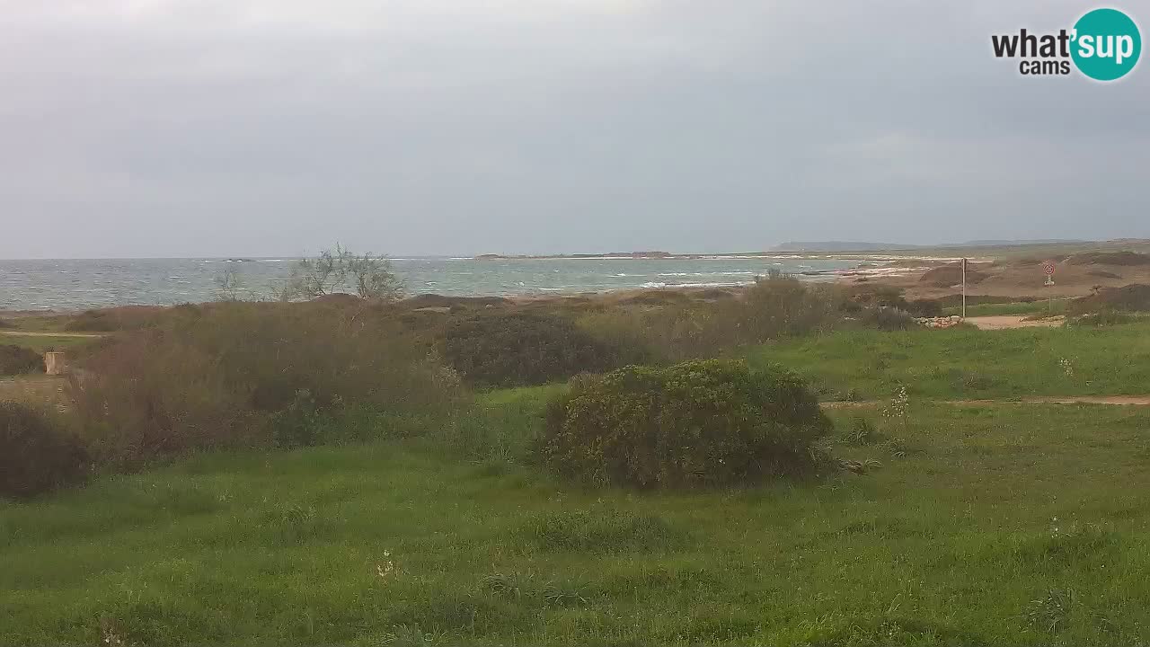 Mari Ermi beach | Is Arutas – Oristano