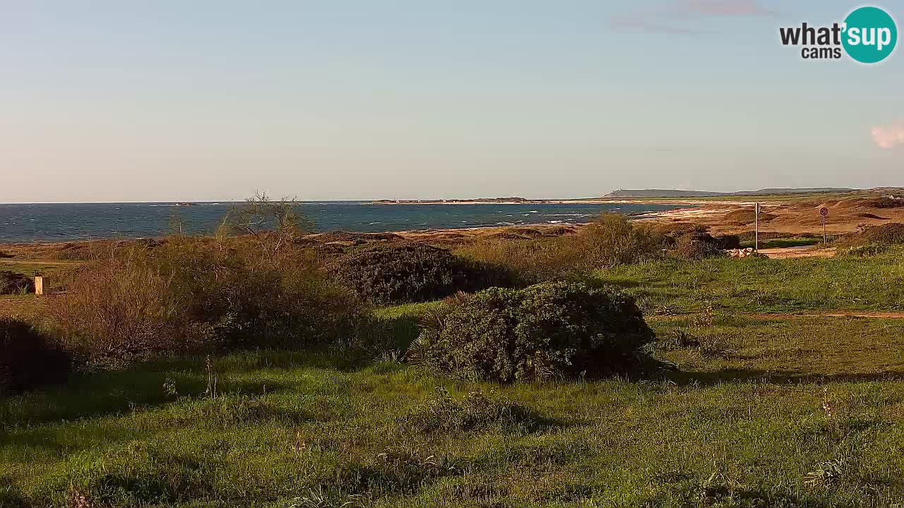 Spiaggia Mari Ermi | Is Arutas – Oristano