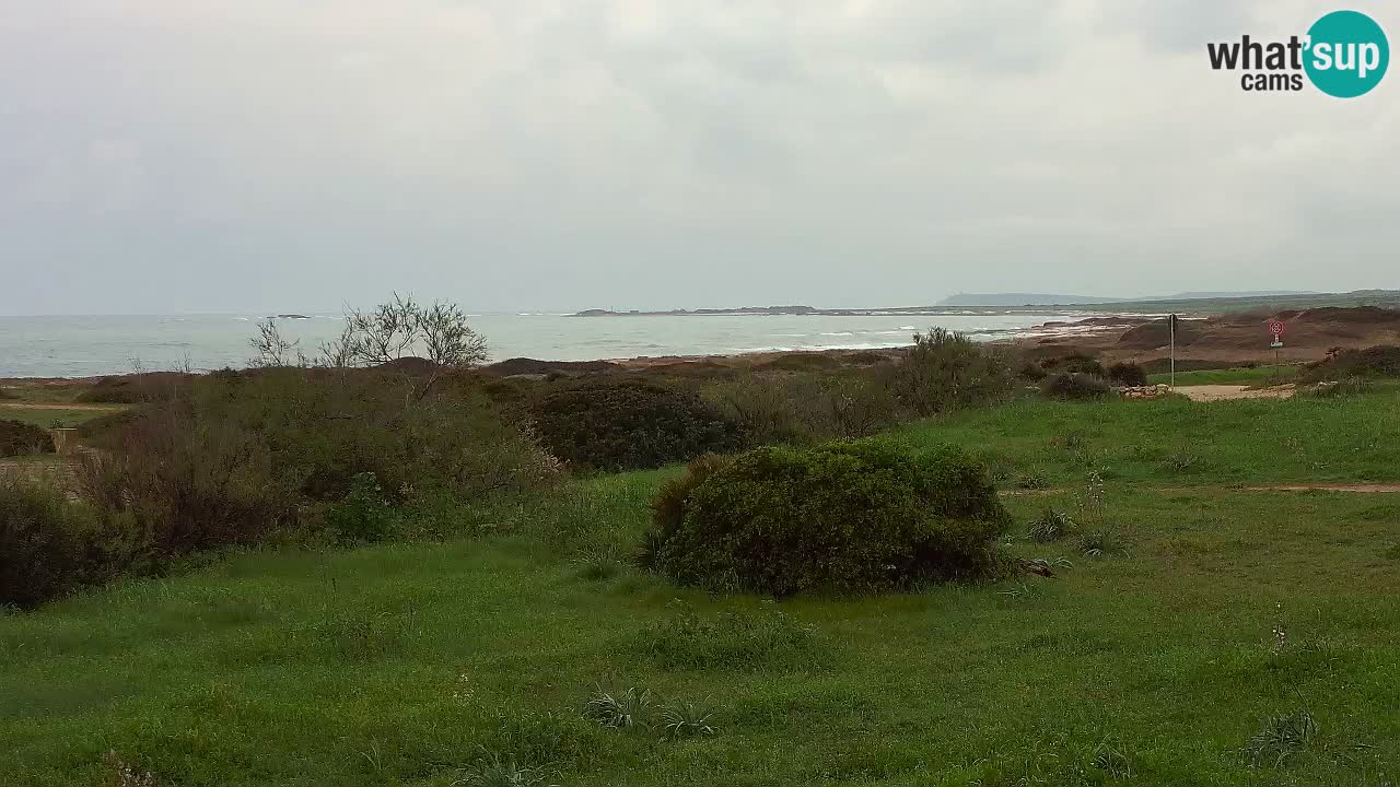 Playa Mari Ermi | Is Arutas – Oristano