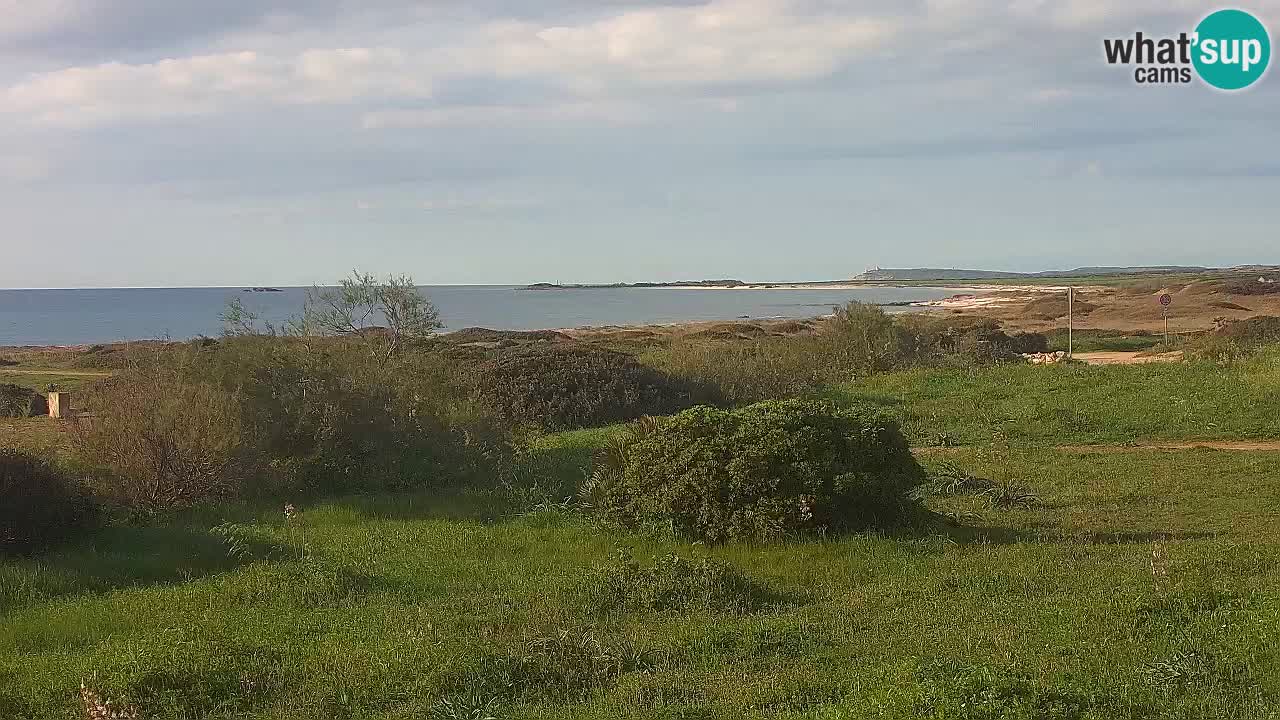 Plage Mari Ermi | Is Arutas – Oristano