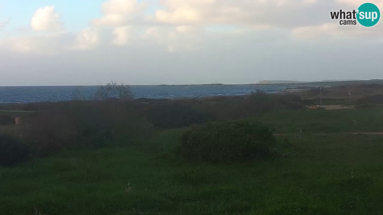 Plaža Mari Ermi | Is Arutas – Oristano