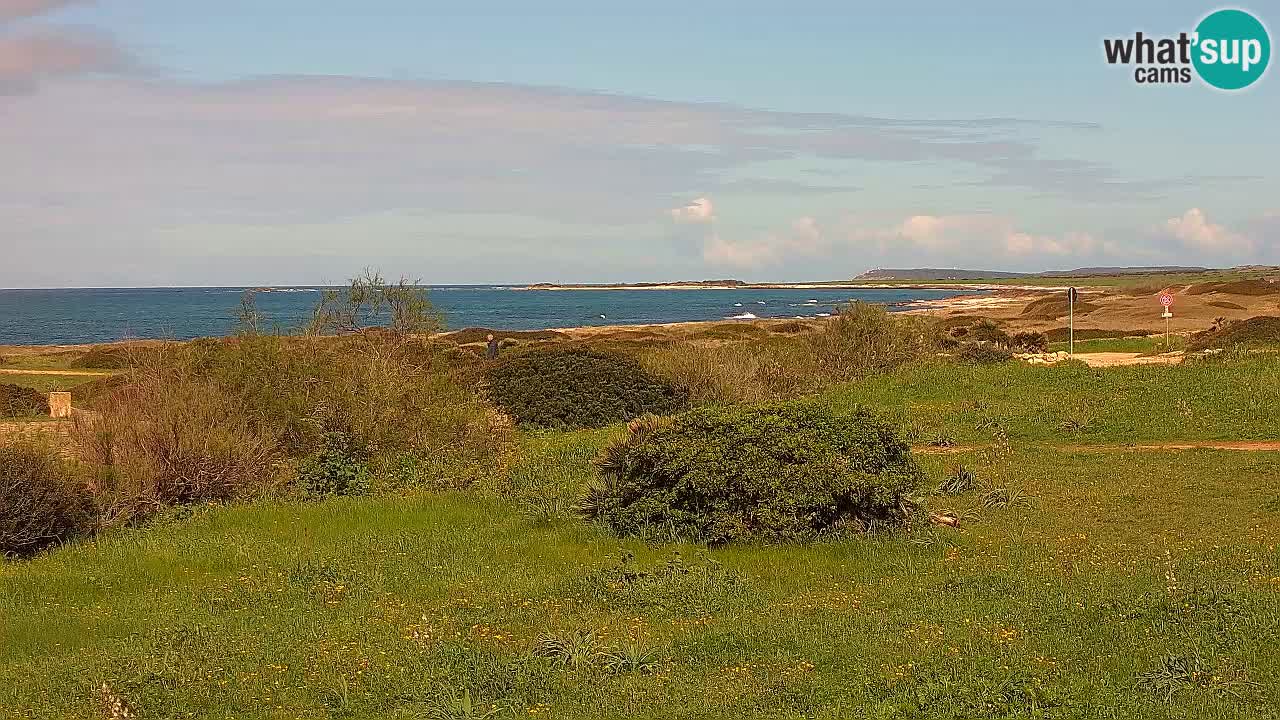 Plaža Mari Ermi | Is Arutas – Oristano