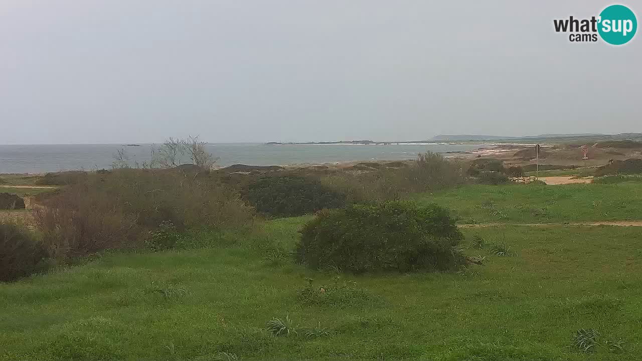 Plage Mari Ermi | Is Arutas – Oristano